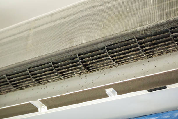 Best Affordable Duct Cleaning Services  in Cottage Grove, WI